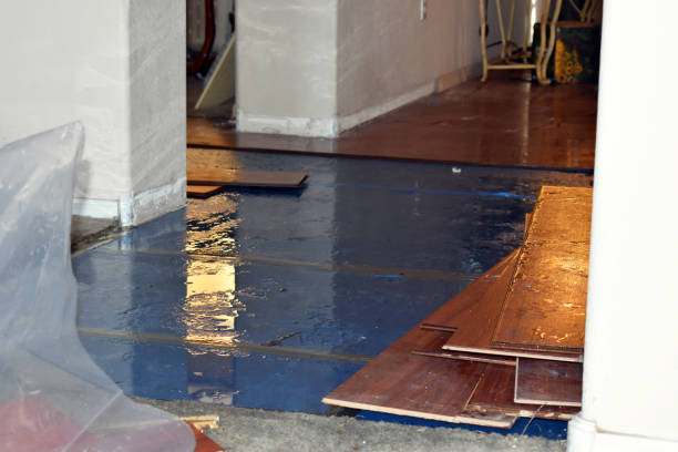 Professional Flood Damage Repair technician working in Cadillac, MI